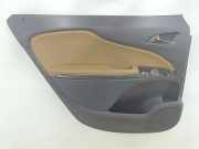 Türverkleidung links hinten Opel Zafira B (A05) 1903903