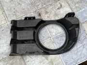 Blende Nebelscheinwerfer Renault Megane II (BM/CM) 8200115118