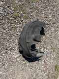 Radhaus links hinten Mercedes-Benz C-Klasse (W205) A2056900730