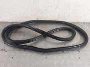 Türgummi rechts vorne Opel Zafira B (A05)