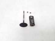 Ansaugkrümmer Nissan Murano I (Z50)