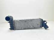 Ladeluftkühler Citroen C3 Picasso (SH) 1489396080