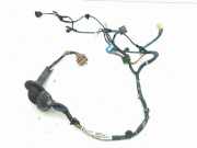 Kabel Tür Citroen C-Crosser (VU, VV) 123456789012