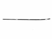 Rechte Dachleistenverkleidung MERCEDES-BENZ C (W204) C 250 CDI (204.003) A2046902162