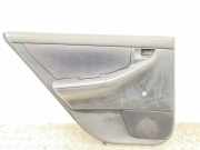 Türpolster hinten links