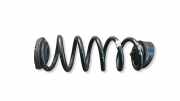 Schraubenfeder hinten links AUDI A4 (8W2, B9) 3.0 TDI quattro