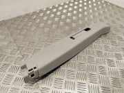 Verkleidung B-Säule links Ford Transit Connect V408 Kasten () DT11V24583