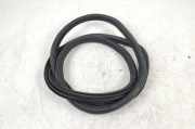 Türgummi rechts hinten BMW 3er (F30, F80) 7258311