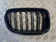 Gitter Grill vorne rechts BMW X3 (F25) xDrive 30 d