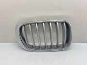 Vorderer oberer Gitter BMW X3 (F25) xDrive 35 d 7210726 7237422