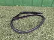 Türgummi links vorne Opel Movano B Kasten (X62) 93197862