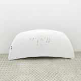 Motorhaube OPEL VIVARO Combi 1.6 CDTI 93455832