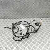 Kabelbaum Hinteren Parksensoren MERCEDES-BENZ C (W205) C 350 e (205.047) A2055404845