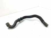 Schlauch Kühlung CITROËN DS4 2.0 HDi 165 9681779480