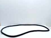 Vordere linke Türdichtungsgummi SKODA SCALA 1.0 TSI 657867365F