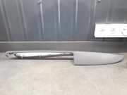 Türverkleidung links vorne VW Phaeton (3D)