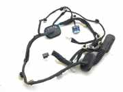 Türverkabelung hinten links RENAULT CAPTUR II (HF_) RENAULT CAPTUR II (HF_) E-TECH 145 (HFMU) 241260880R