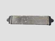 Ladeluftkühler FORD GALAXY III (CK) 2.0 TDCi E1G36K775HB