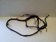 Kabelbaum Audi Q3 (8U) 8U0971147A