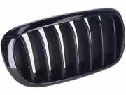 Gitter Grill vorne rechts BMW X6 (F16, F86) M 50 d 7316054
