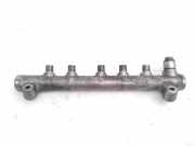 Einspritzleiste Volvo S60 II (134) 31303412