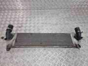 Ladeluftkühler NISSAN QASHQAI / QASHQAI +2 I (J10, JJ10) 2.0 dCi