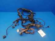 Motor Kabelbaum BMW 5 Gran Turismo (F07) 530 d 850601604
