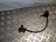 Andere Steuergeräte AUDI 80 Avant (8C, B4) 1.9 TDI 012919823