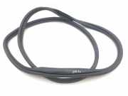 Türdichtungsgummi vorne links KIA NIRO E-NIRO