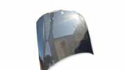 Motorhaube BMW 3 Touring (E91) 320 d