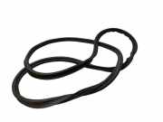 Dichtung für Koffer-/Laderaumklappe VW Passat B7 Alltrack (36, B7) 3G9827705B