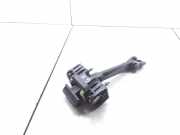 Türanschlag hinten links