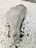 Fensterwaschtank AUDI TT (8N3) 1.8 T 8N0955453A