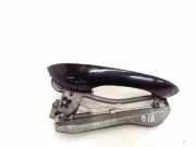 Türaußengriff hinten links BMW X5 (E53) 3.0 d