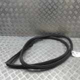 Türdichtungsgummi vorne links PORSCHE 911 (997) 3.6 Carrera 4 997537075