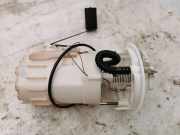 Kraftstofftankpumpe RENAULT LAGUNA III (BT0/1) 2.0 16V (BT05, BT0F, BT0W) 10025460100