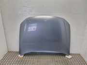 Motorhaube VW Passat B7 Alltrack (36, B7)