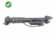 Stoßdämpfer hinten rechts MERCEDES-BENZ R (W251, V251) R 350 CDI 4-matic (251.023, 251.123) 2513201931