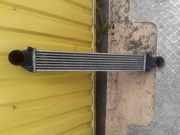 Ladeluftkühler MERCEDES-BENZ A (W169) A 170 (169.032, 169.332) Q04G0976 A1695000000