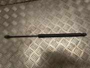 Heckklappendämpfer rechts Mercedes-Benz E-Klasse (W211) 0169310580N