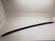 Dachreling links BMW X1 (E84)