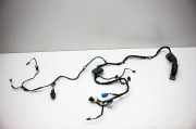 Türverkabelung hinten links AUDI A5 Sportback (F5A) S5 quattro 8W8971687E
