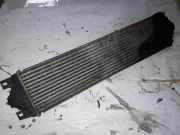 Ladeluftkühler Renault Master II Kasten (FD) 874806M