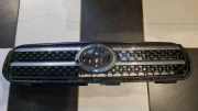 Gitter Grill vorne links TOYOTA RAV 4 III (_A3_) 2.2 D 4WD (ALA30_) 5310142190