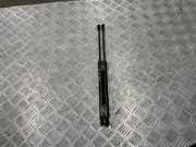 Heckklappendämpfer links BMW 1er (F21) 7239871