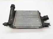Ladeluftkühler Dacia Sandero II (SD) 144963014R