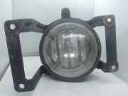 Nebelscheinwerfer links vorne Hyundai Tucson I (JM) 1011503