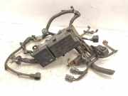 Motor Kabelbaum HONDA ACCORD VII Tourer (CM, CN) 2.2 i-CTDi (CN2) 32100SEFE011
