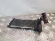 Elektrischer Schulterschulterkühler