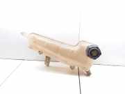 Ausgleichsbehälter RENAULT CLIO II (BB0/1/2_, CB0/1/2_) 1.2 (BB0A, BB0F, BB10, BB1K, BB28, BB2D, BB2H, CB0A,... 7700427953